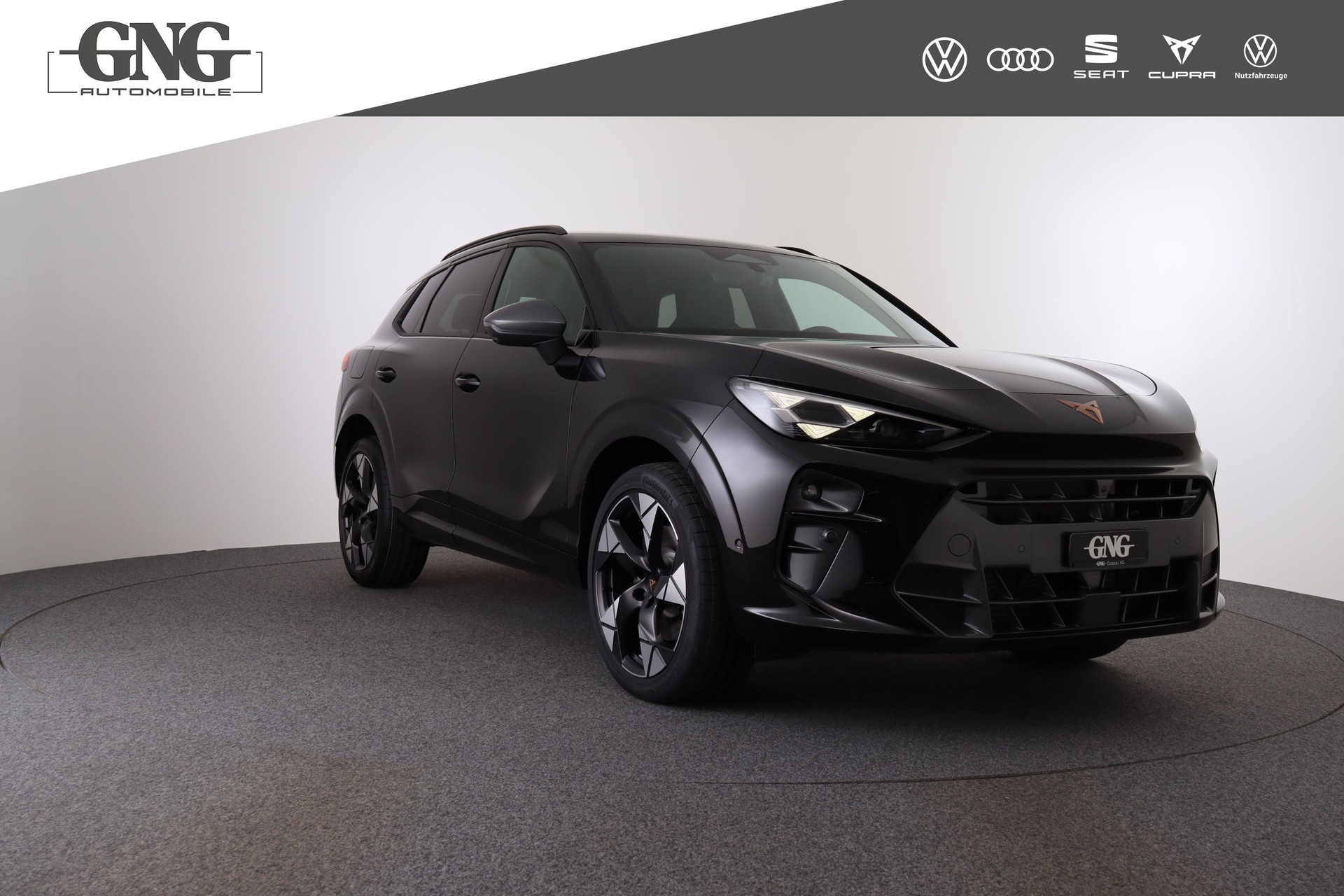 CUPRA Terramar 2.0 TSI DSG 4Drive VZ-image-9