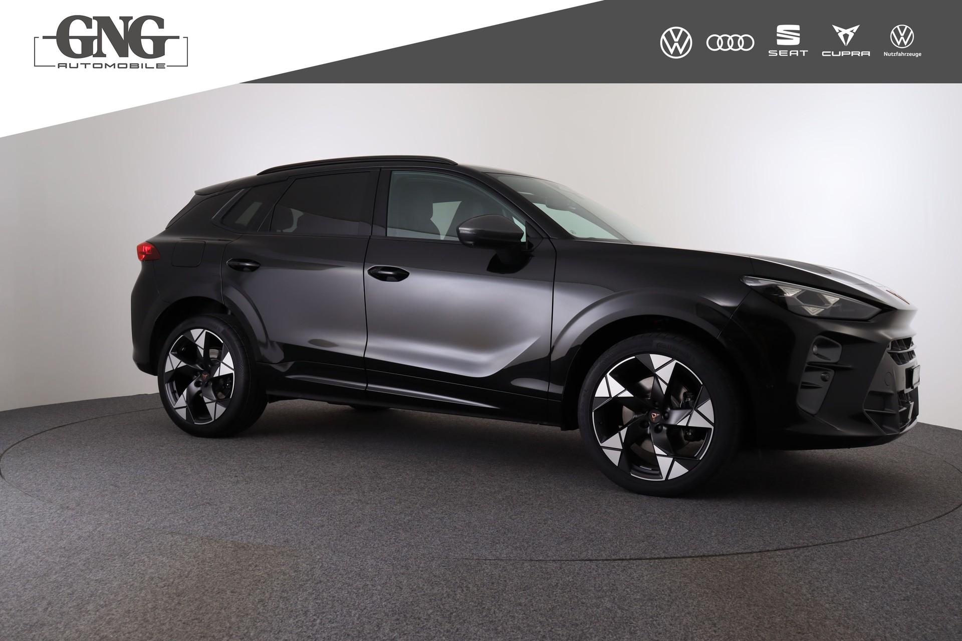 CUPRA Terramar 2.0 TSI DSG 4Drive VZ-image-8