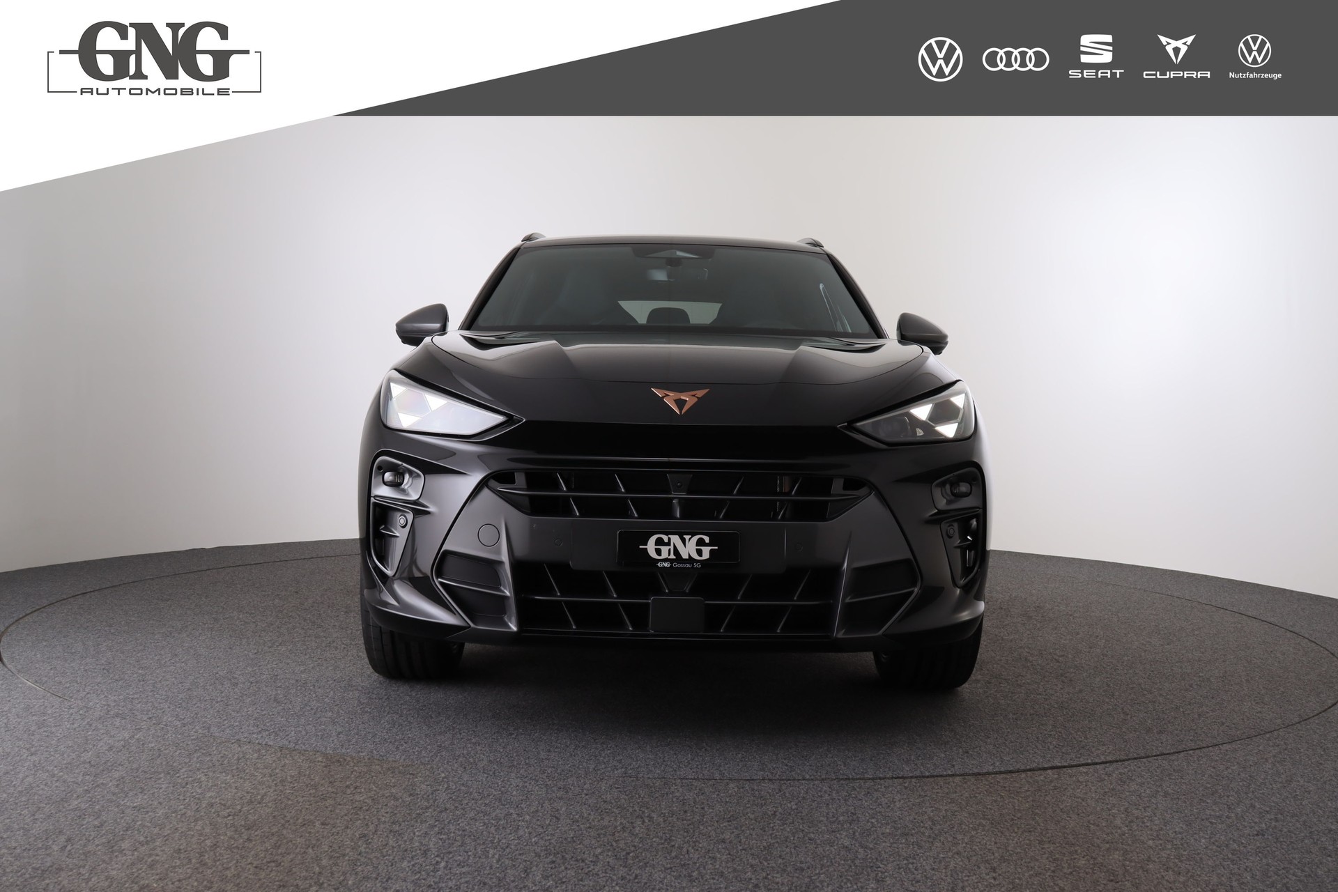 CUPRA Terramar 2.0 TSI DSG 4Drive VZ-image-10