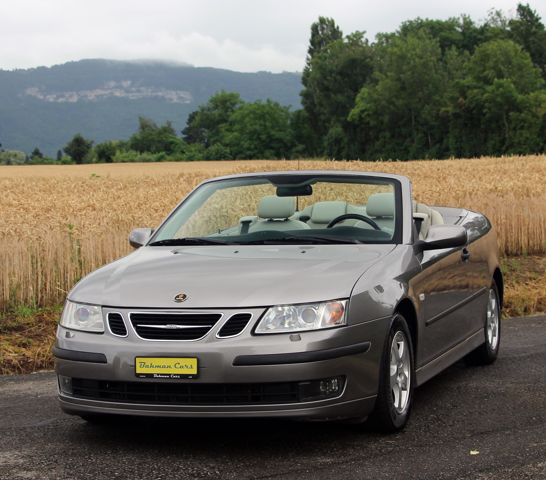 SAAB 9-3 2.0t Vector-image-2