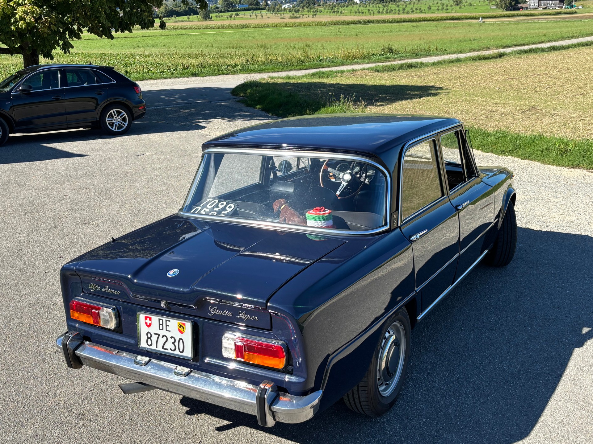 ALFA ROMEO 105 26 Giulia Super 1600-image-2