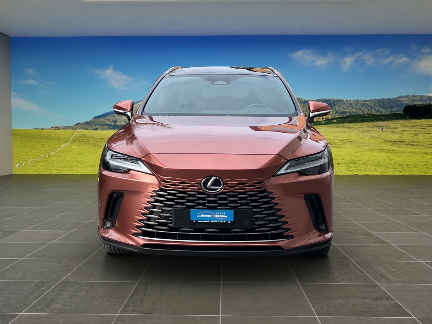 LEXUS RX 350h F-Line-image-7