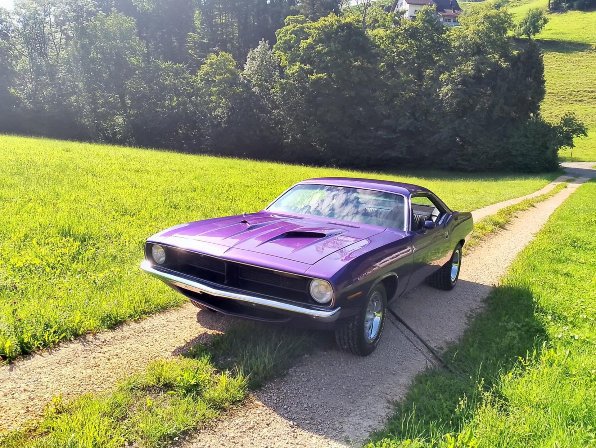 PLYMOUTH Barracuda-showroom-element-1