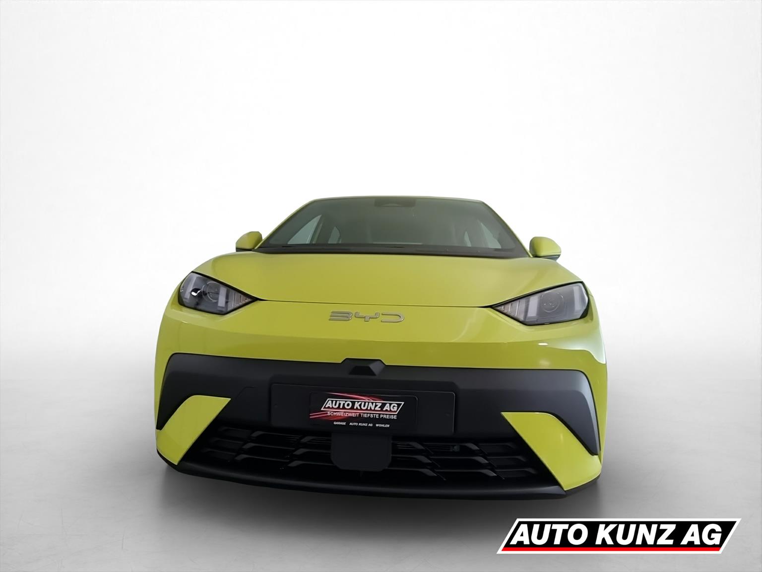 BYD Dolphin Surf 43 kWh Boost-image-1
