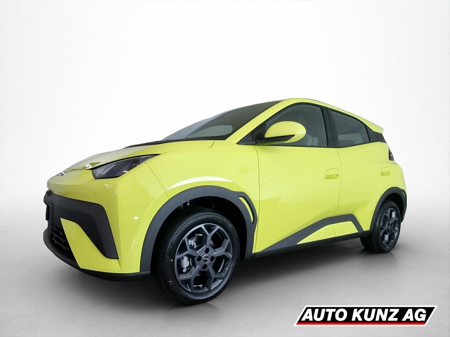 BYD Dolphin Surf 43 kWh Boost