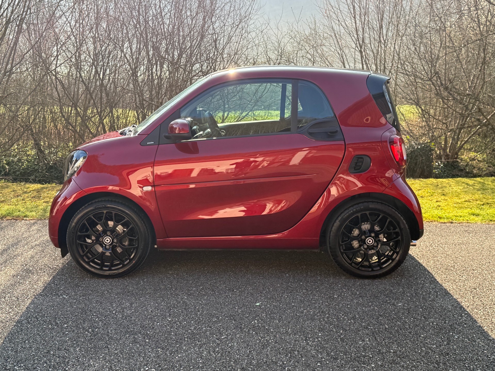 SMART fortwo passion twinmatic-image-1