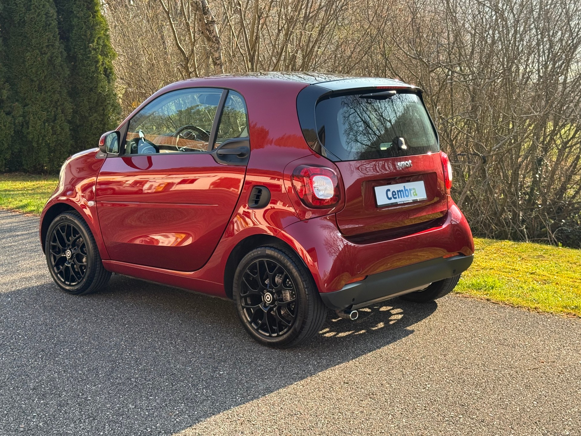 SMART fortwo passion twinmatic-image-2