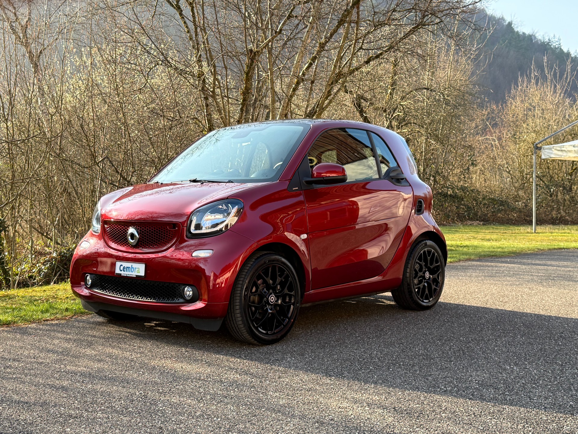 SMART fortwo passion twinmatic-image-0