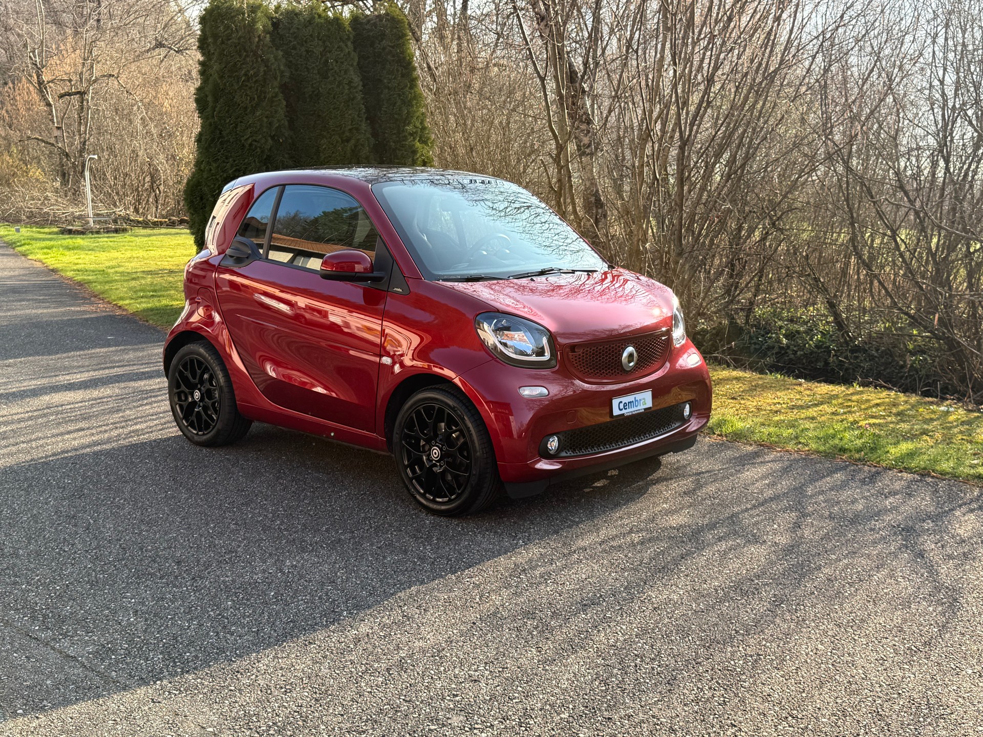 SMART fortwo passion twinmatic-image-4