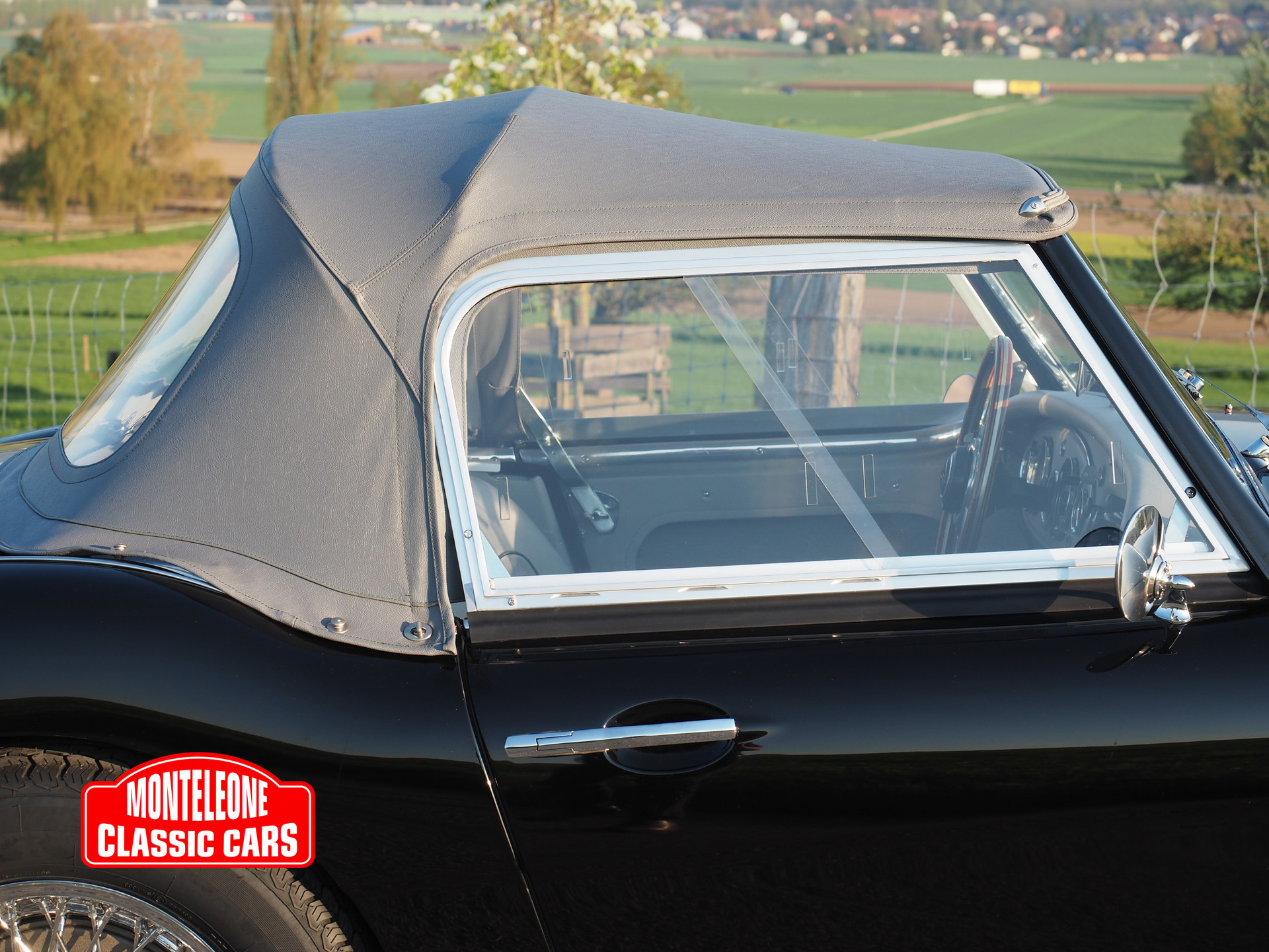 AUSTIN-HEALEY BN 6-image-14