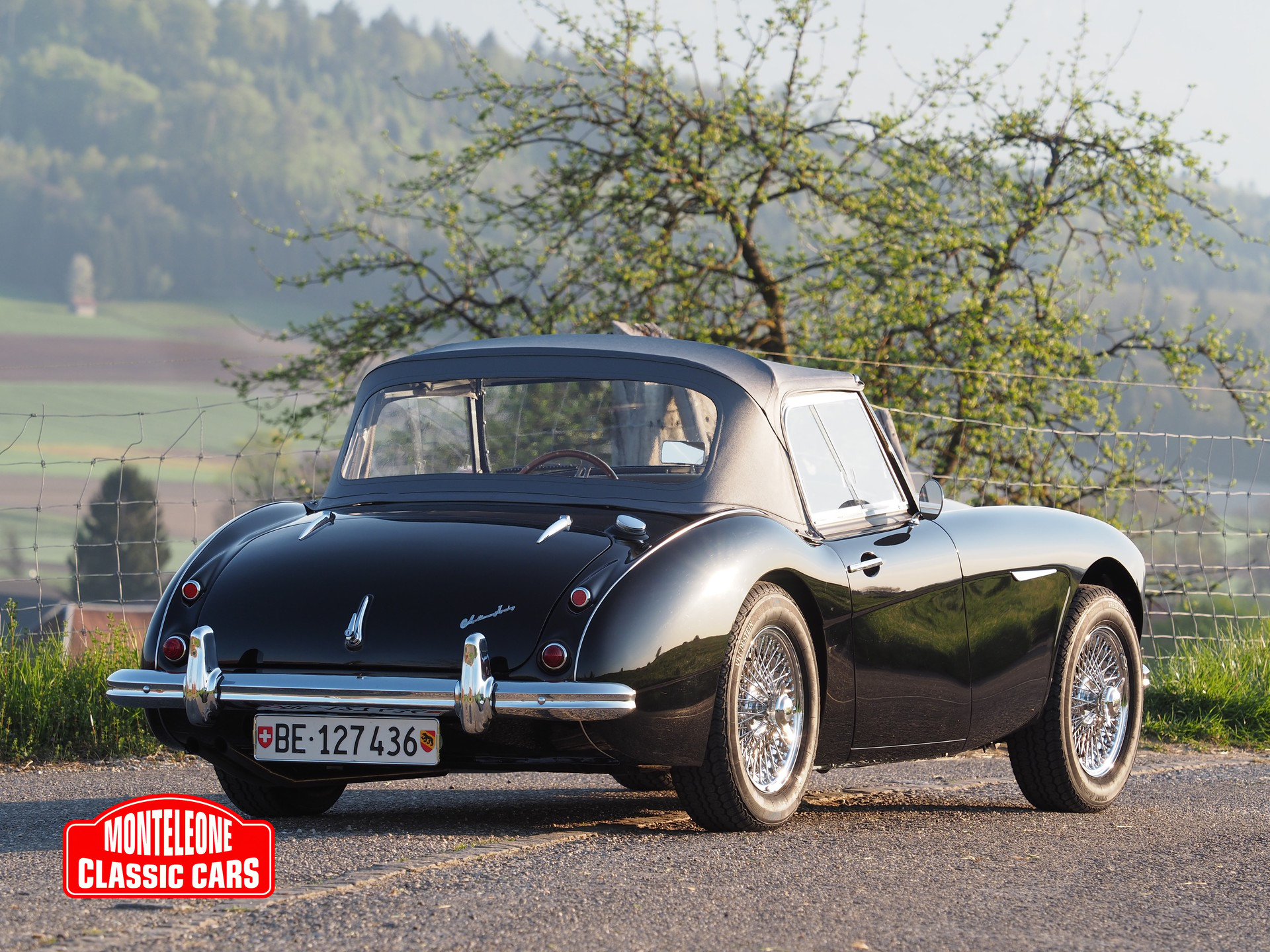 AUSTIN-HEALEY BN 6-image-17