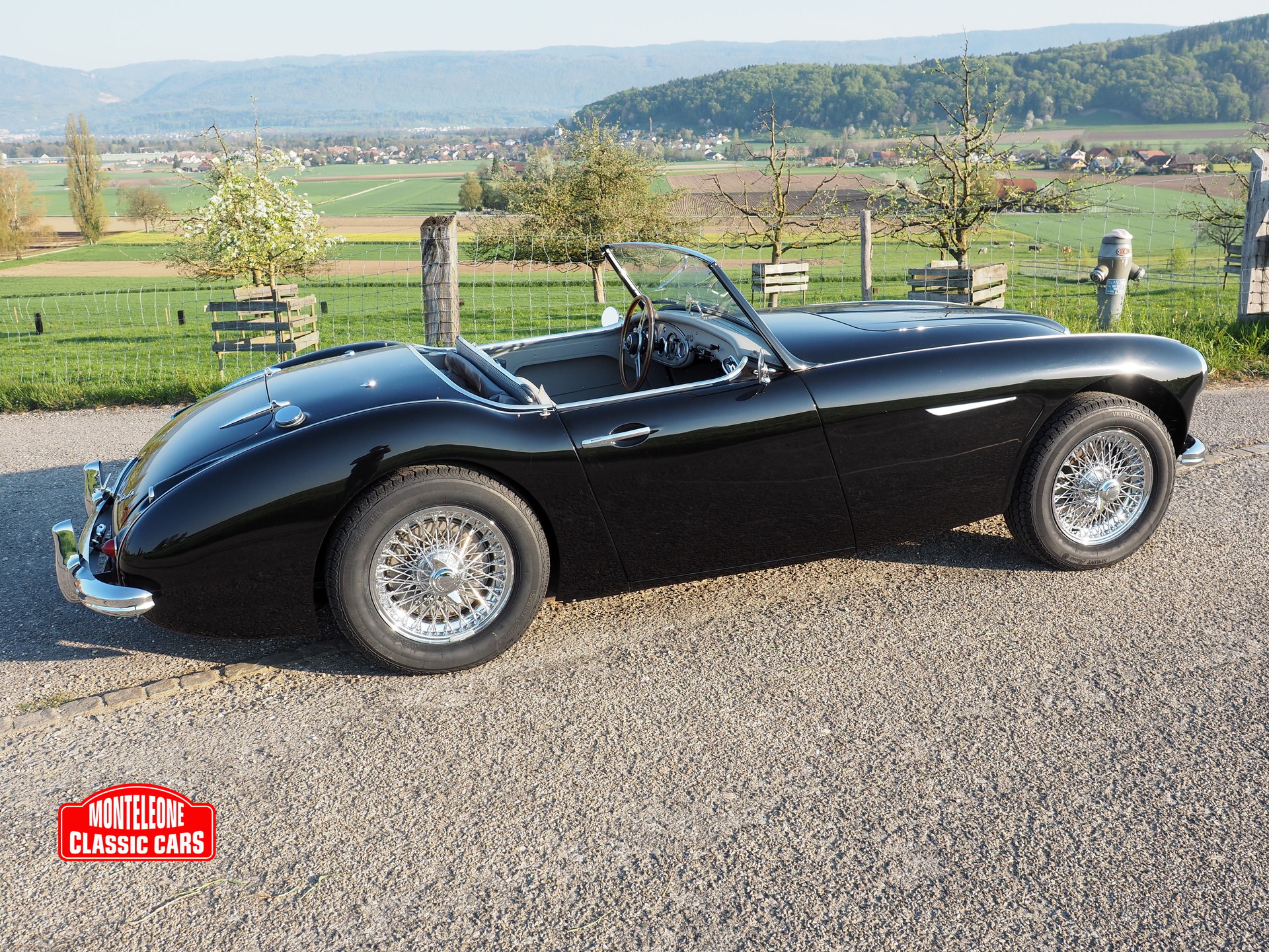 AUSTIN-HEALEY BN 6-image-0