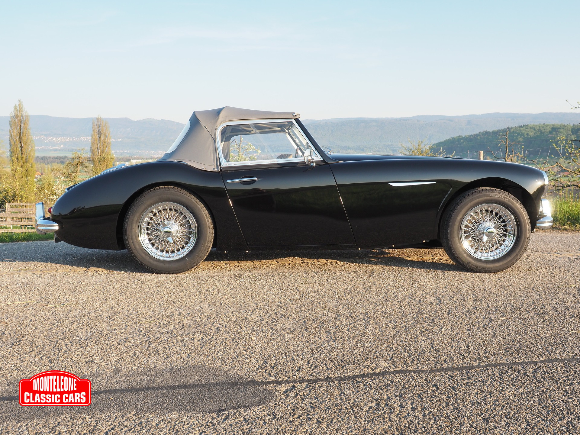 AUSTIN-HEALEY BN 6-image-13