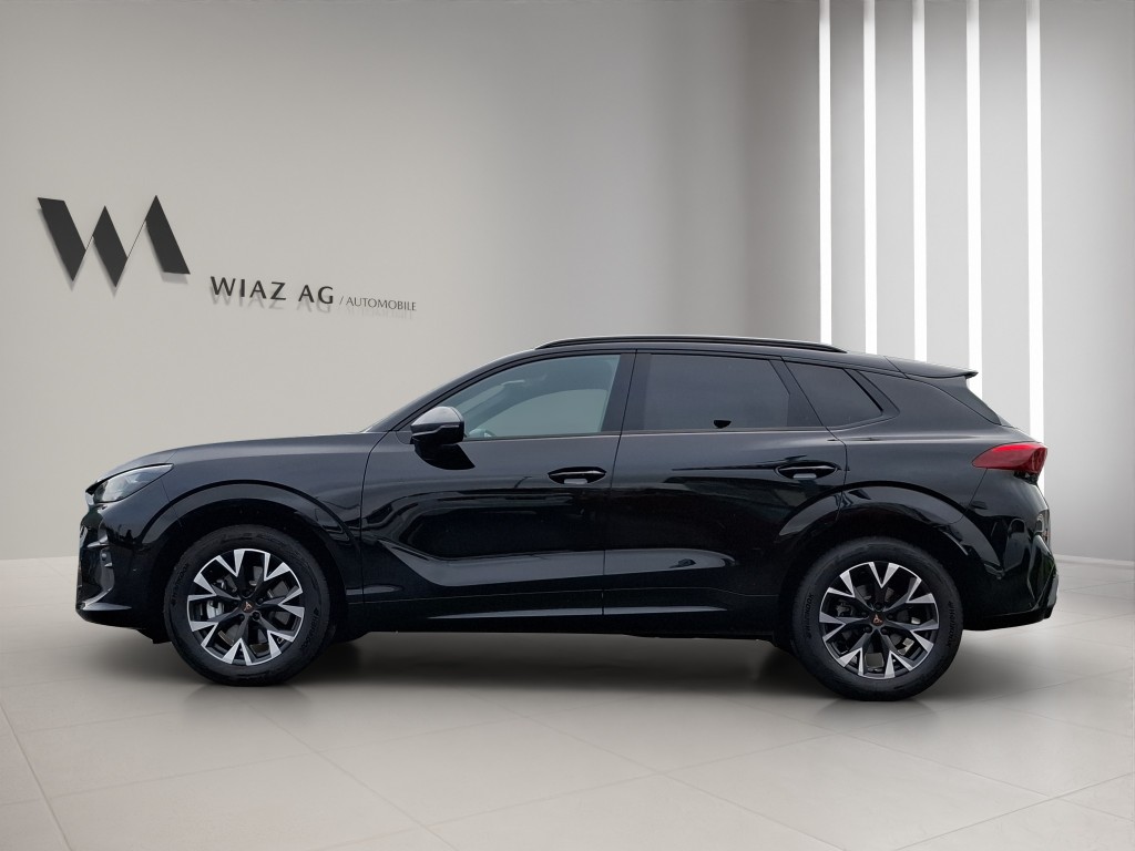 CUPRA Terramar 2.0 TSI 4Drive DSG-image-8