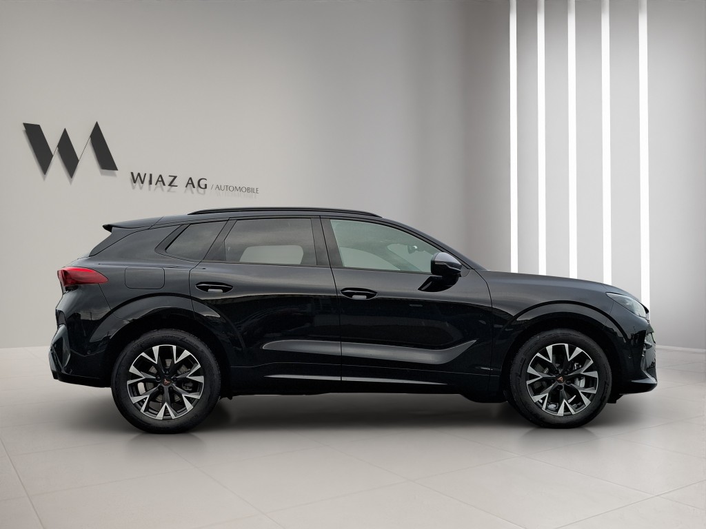 CUPRA Terramar 2.0 TSI 4Drive DSG-image-6