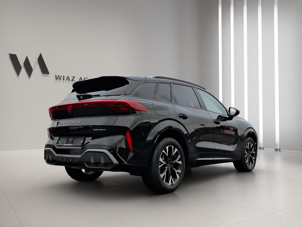 CUPRA Terramar 2.0 TSI 4Drive DSG-image-5