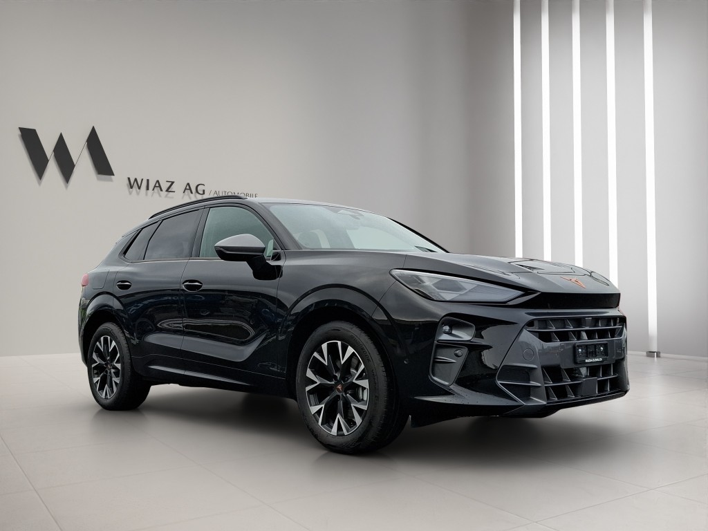 CUPRA Terramar 2.0 TSI 4Drive DSG-image-13