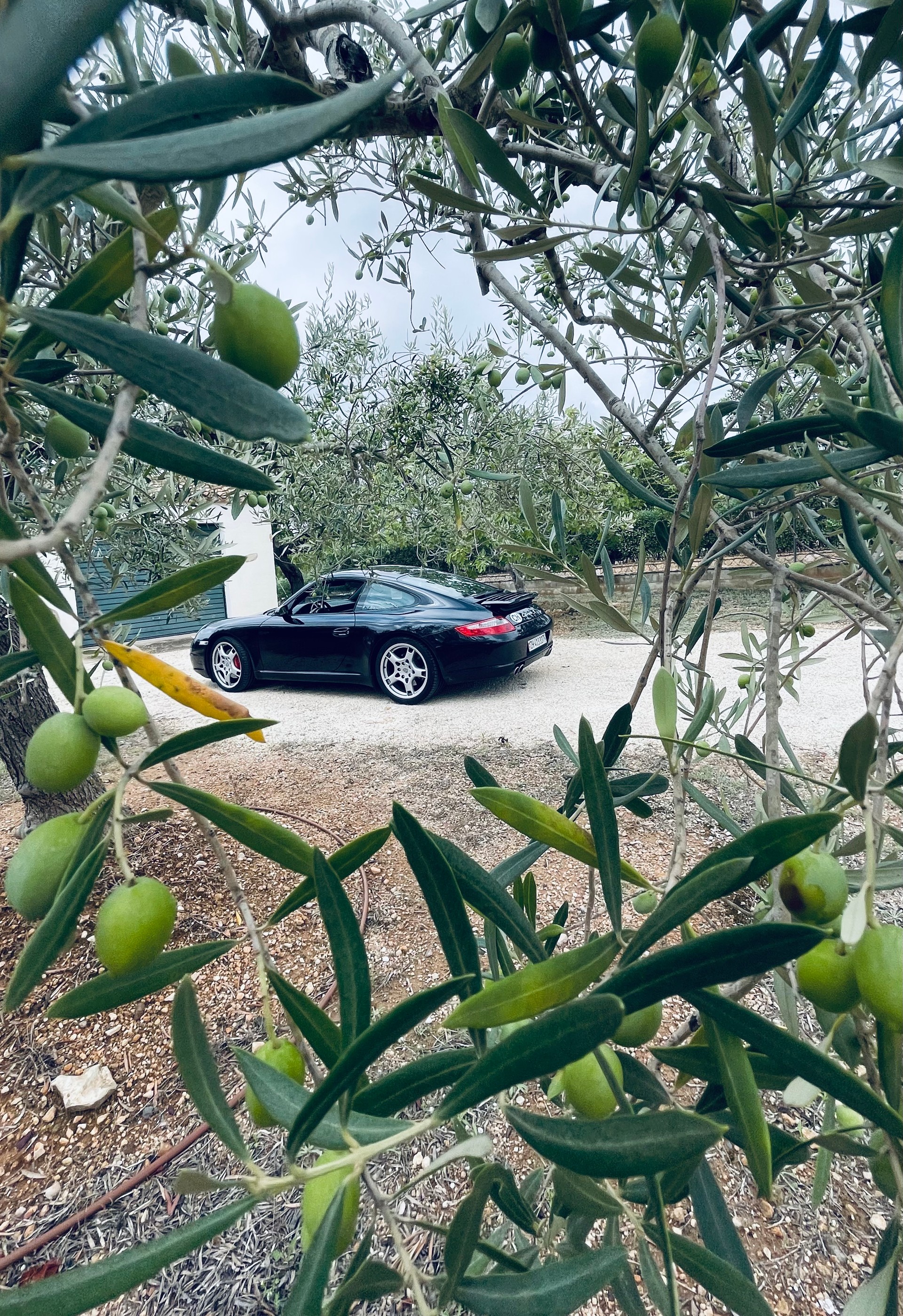 PORSCHE 911 Carrera S-image-6
