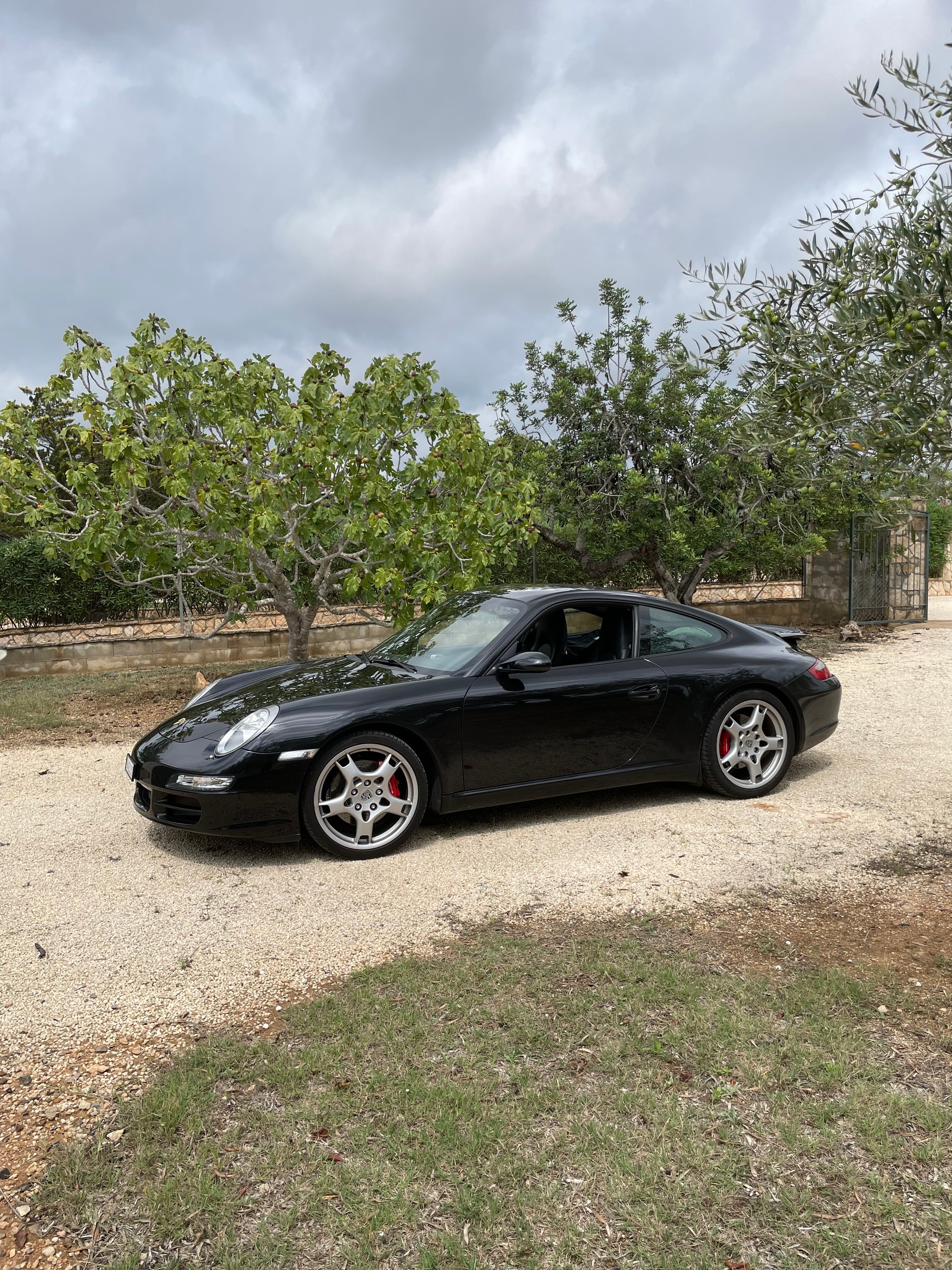 PORSCHE 911 Carrera S-image-4