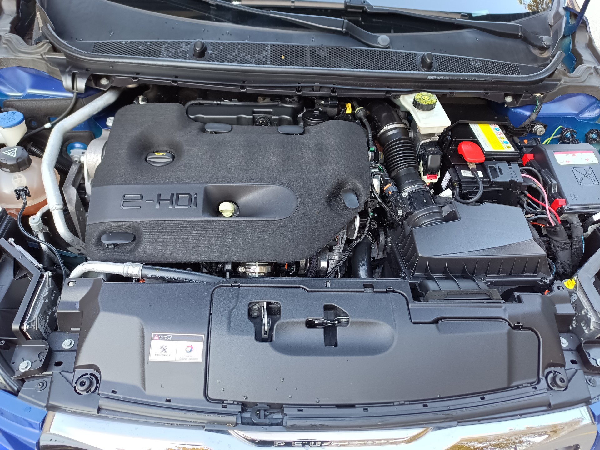 PEUGEOT 308 SW 2.0 BlueHDI GT Automatic-image-10
