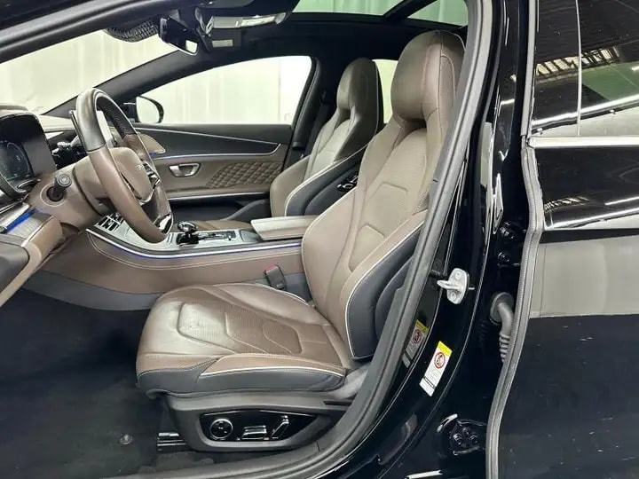 BYD Executive 380 kW AWD-image-4