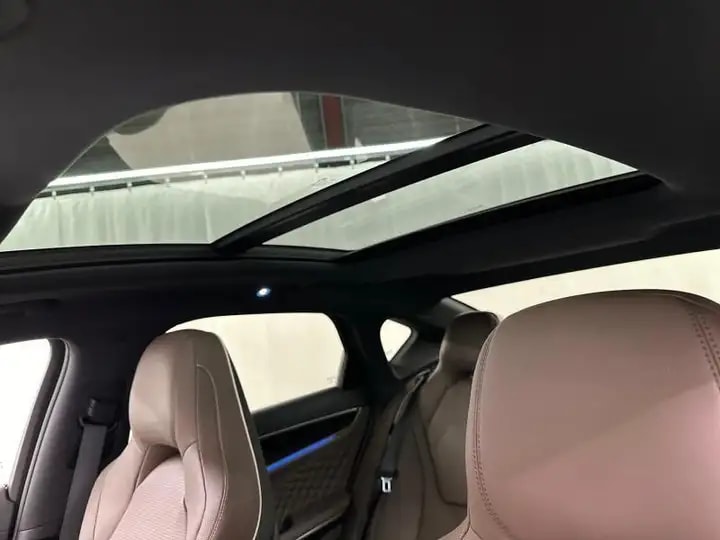 BYD Executive 380 kW AWD-image-2