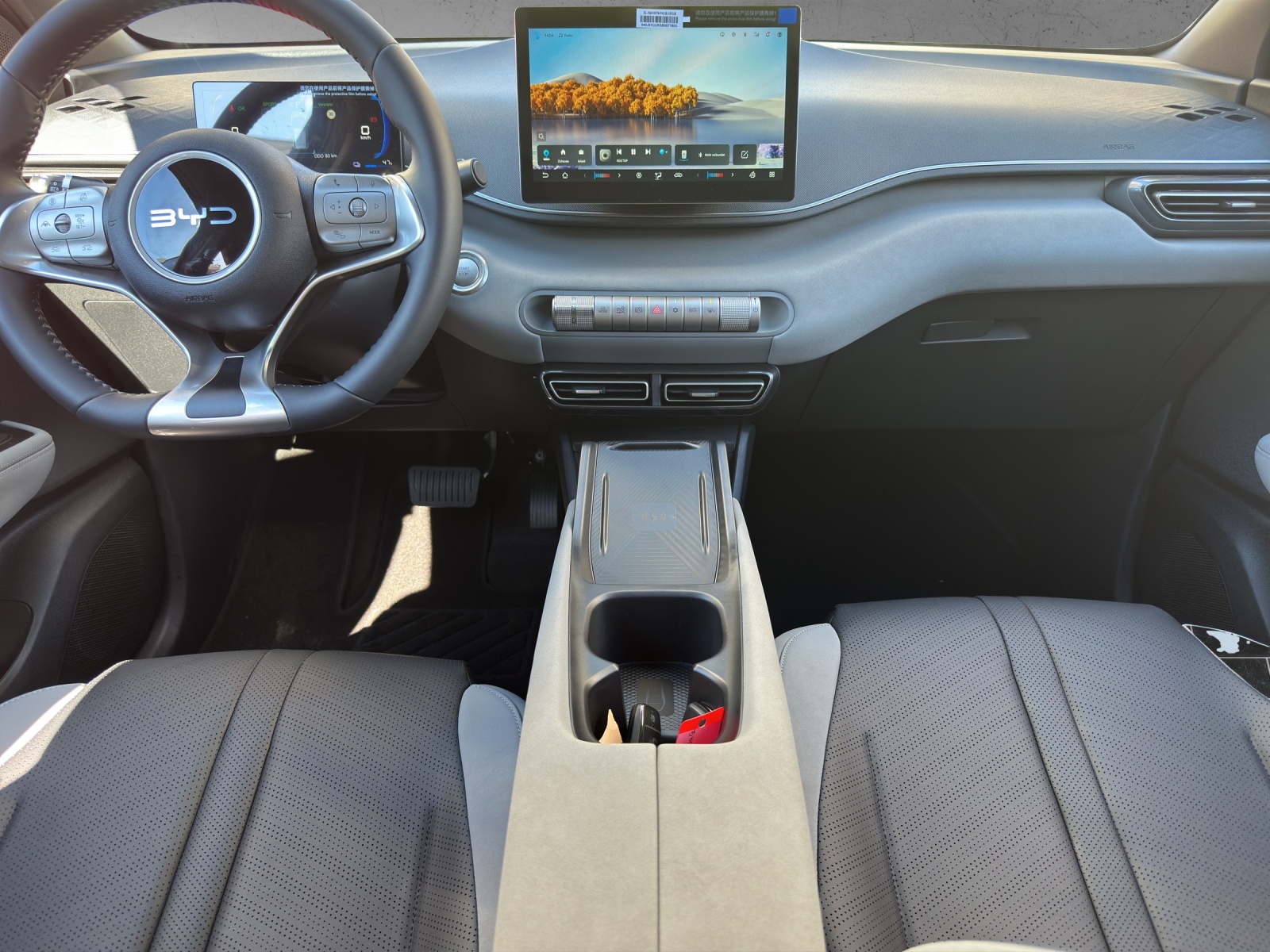 BYD Dolphin Surf 43 kWh Comfort-image-8