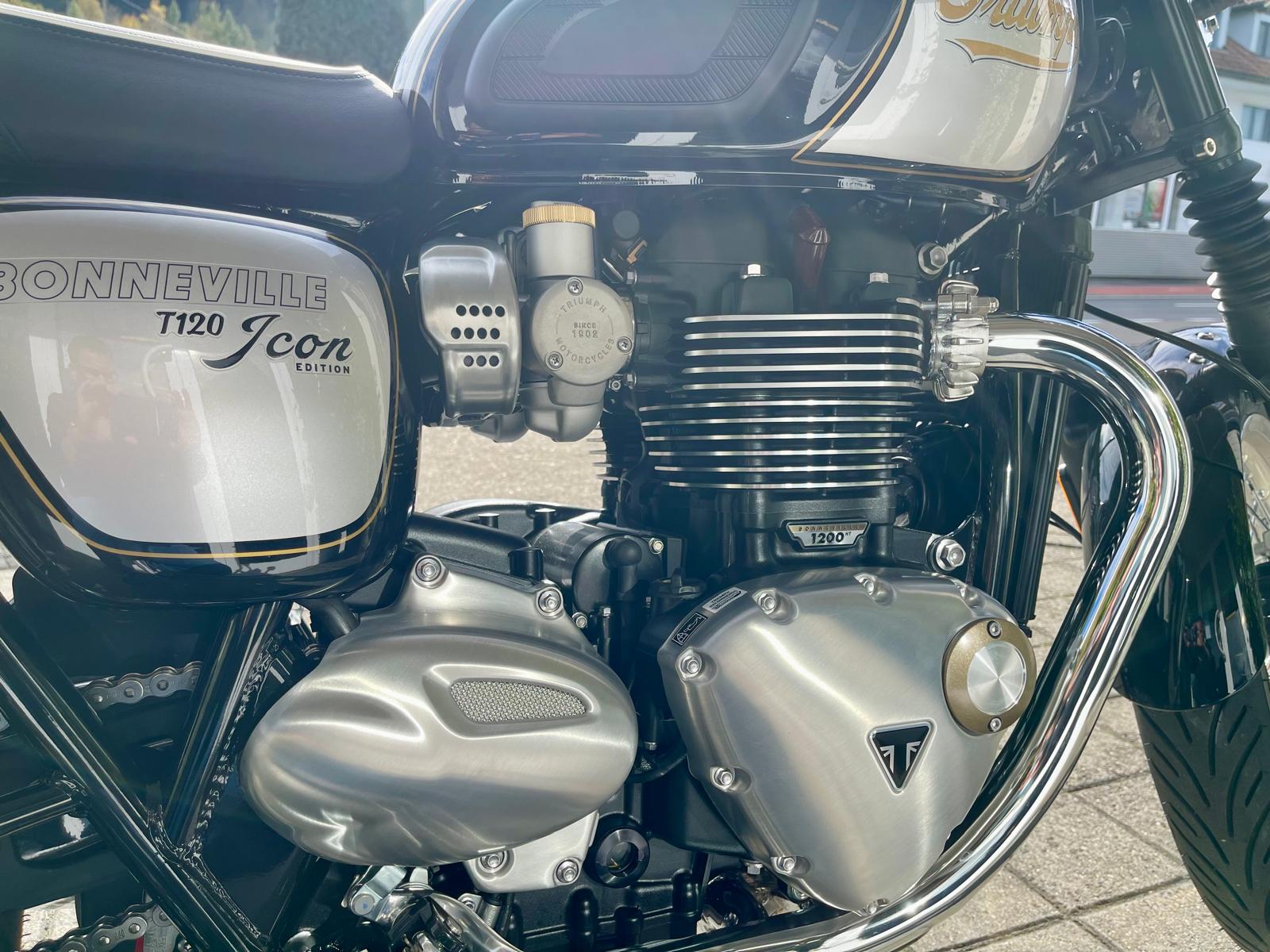 TRIUMPH Bonneville T120 Icon Edition-image-6
