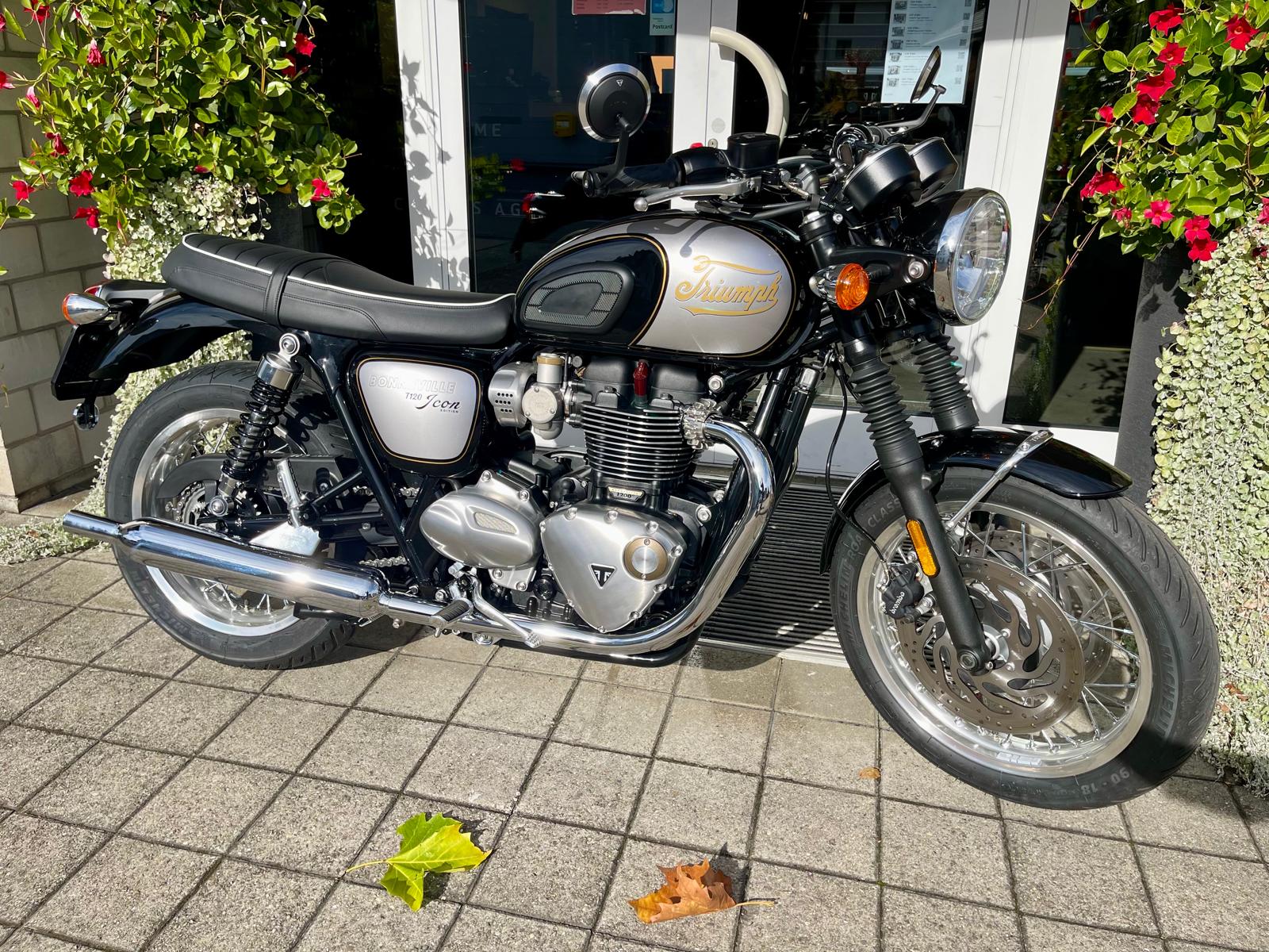 TRIUMPH Bonneville T120 Icon Edition