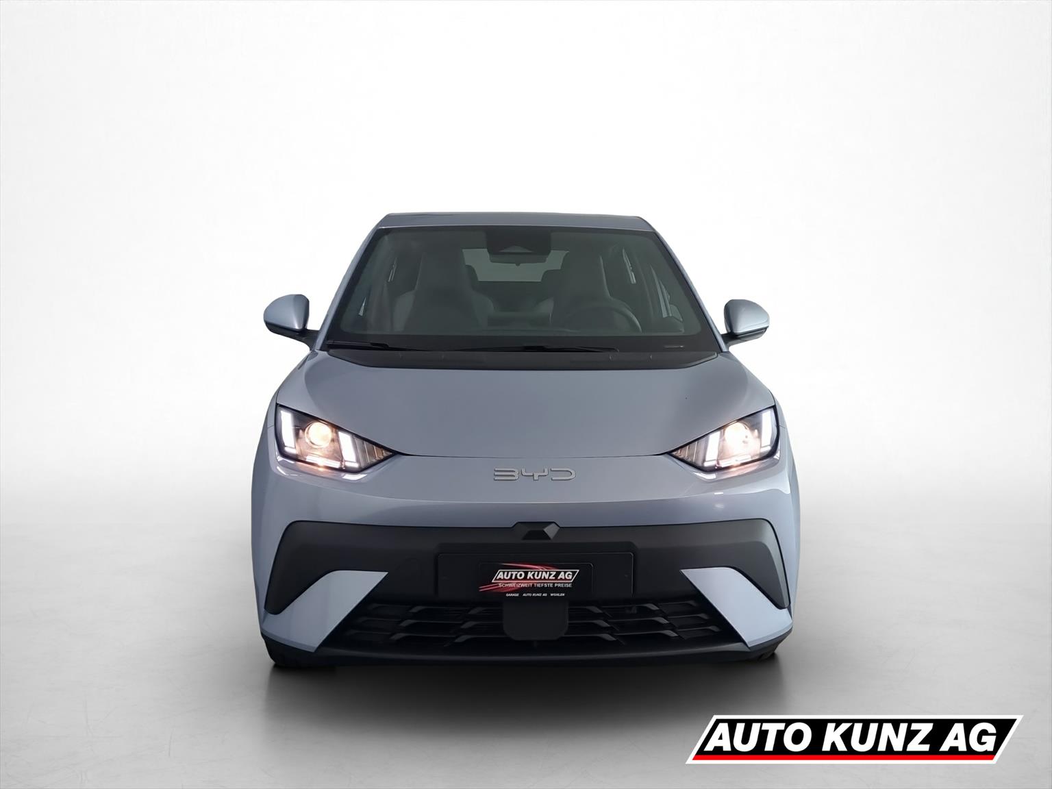 BYD Dolphin Surf 43 kWh Boost-image-1