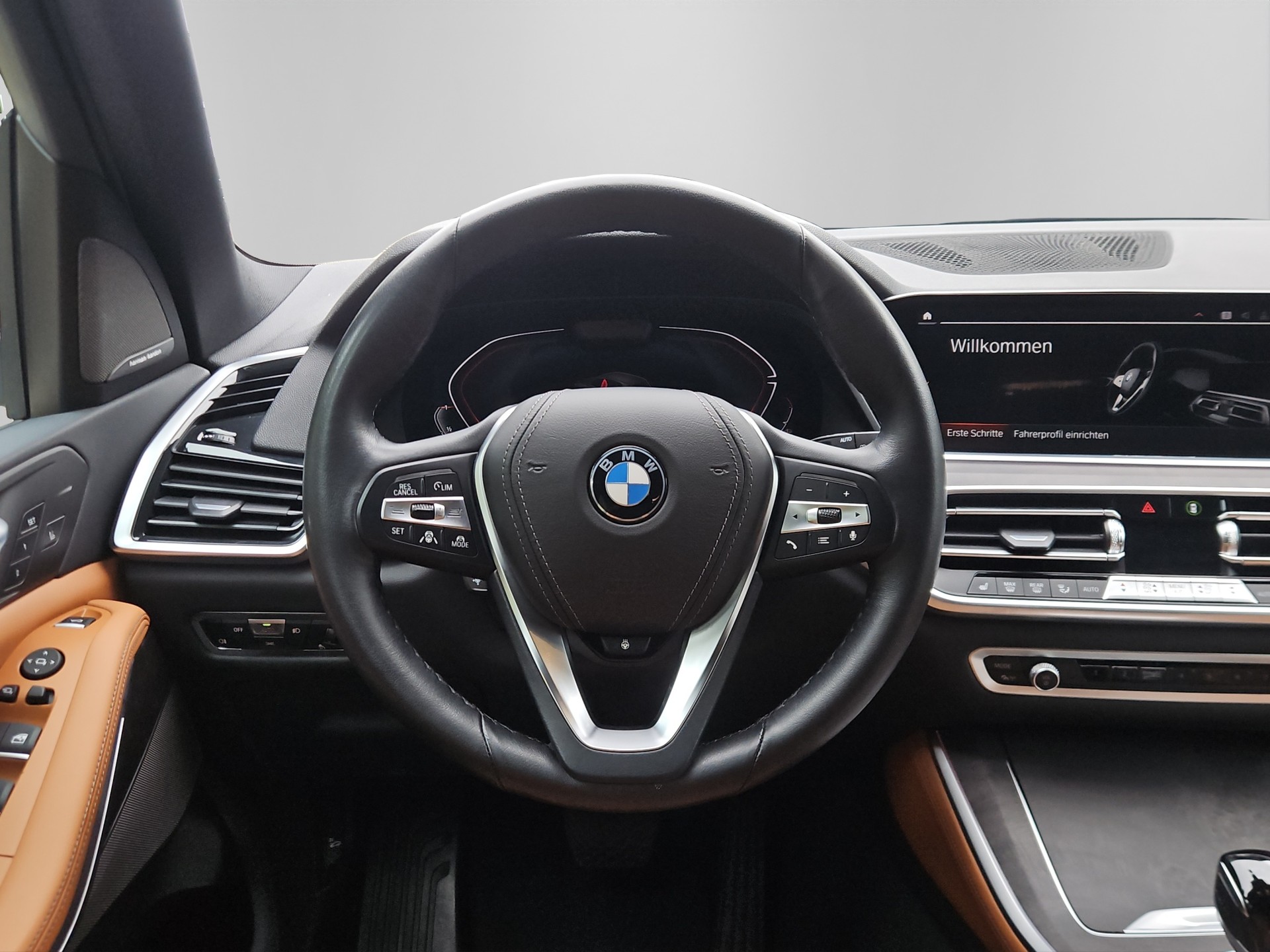 BMW X5 xDrive 48V 30d Steptronic-image-11