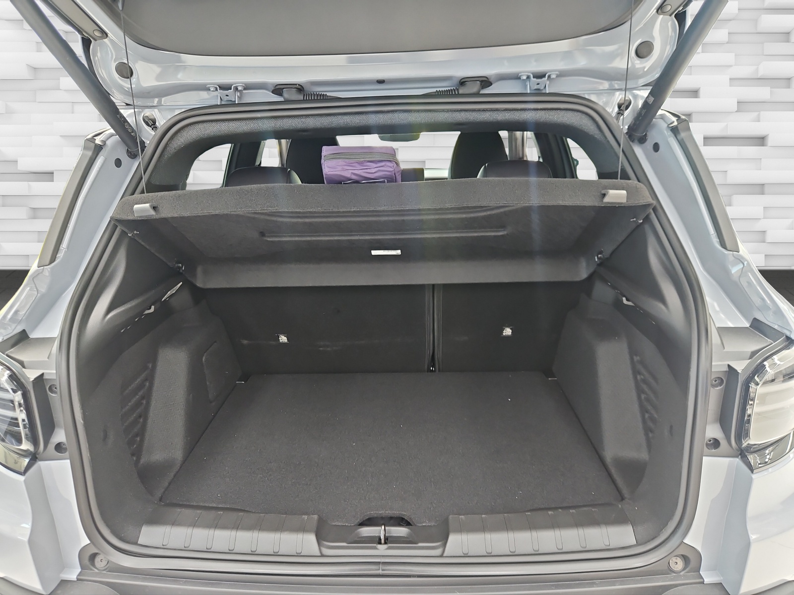 JEEP Avenger 4Xe The North Face-image-15