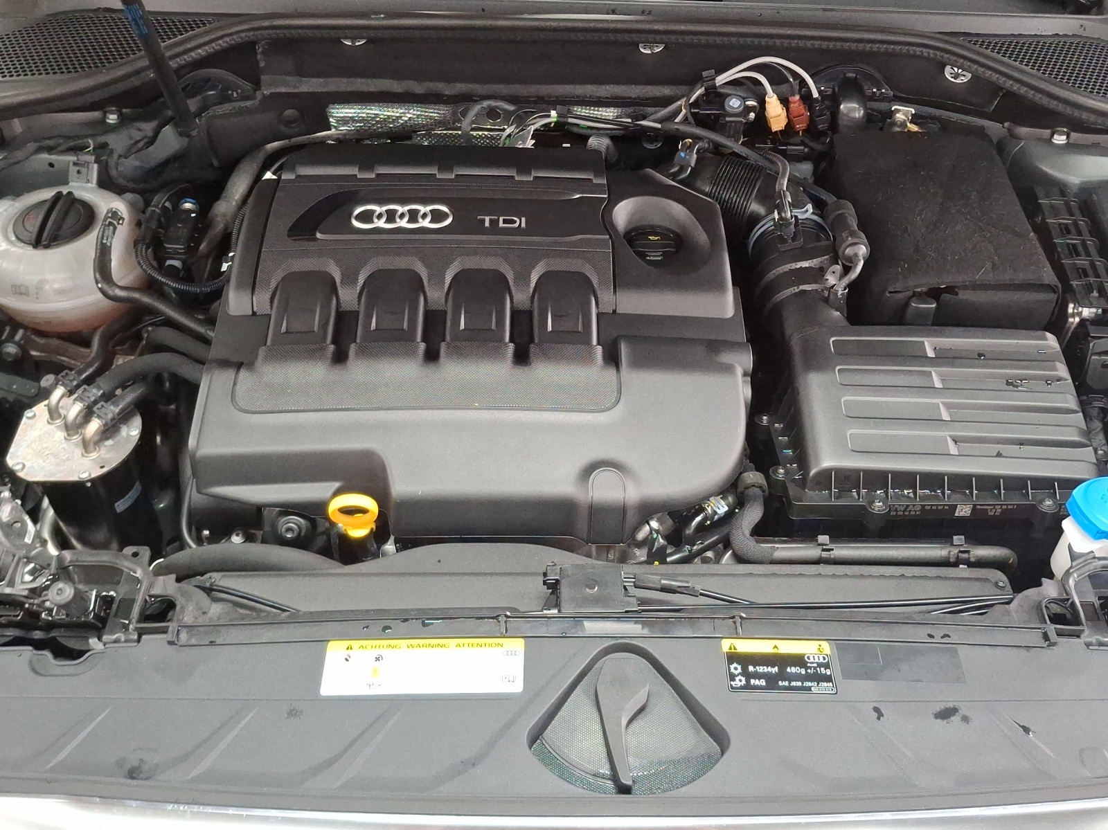 AUDI Q2 2.0 TDI sport quattro S-tronic-image-27
