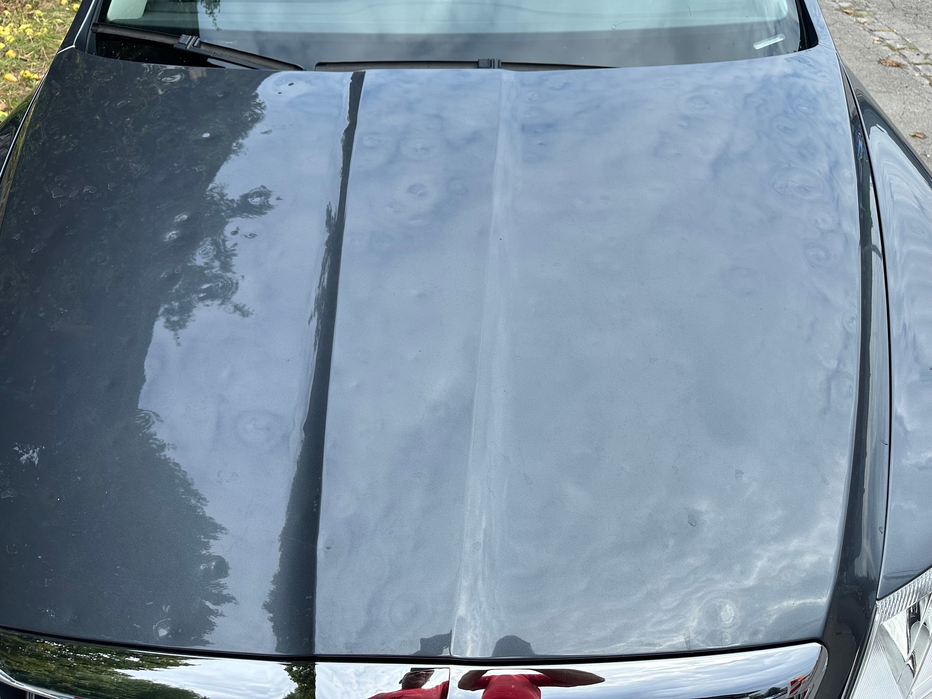 SKODA Octavia Combi 1.8 TSI Ambiente FIXPREIS-image-3