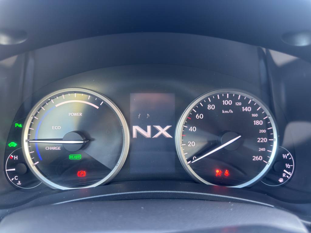 LEXUS NX 300h comfort E-Four Automatic-image-15