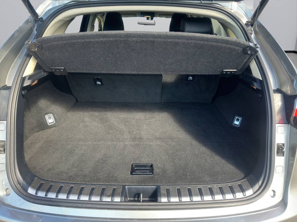LEXUS NX 300h comfort E-Four Automatic-image-10