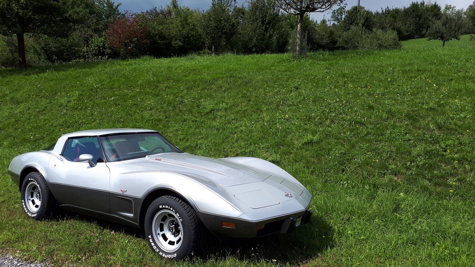 CHEVROLET CORVETTE 25 Anniversary-image-0