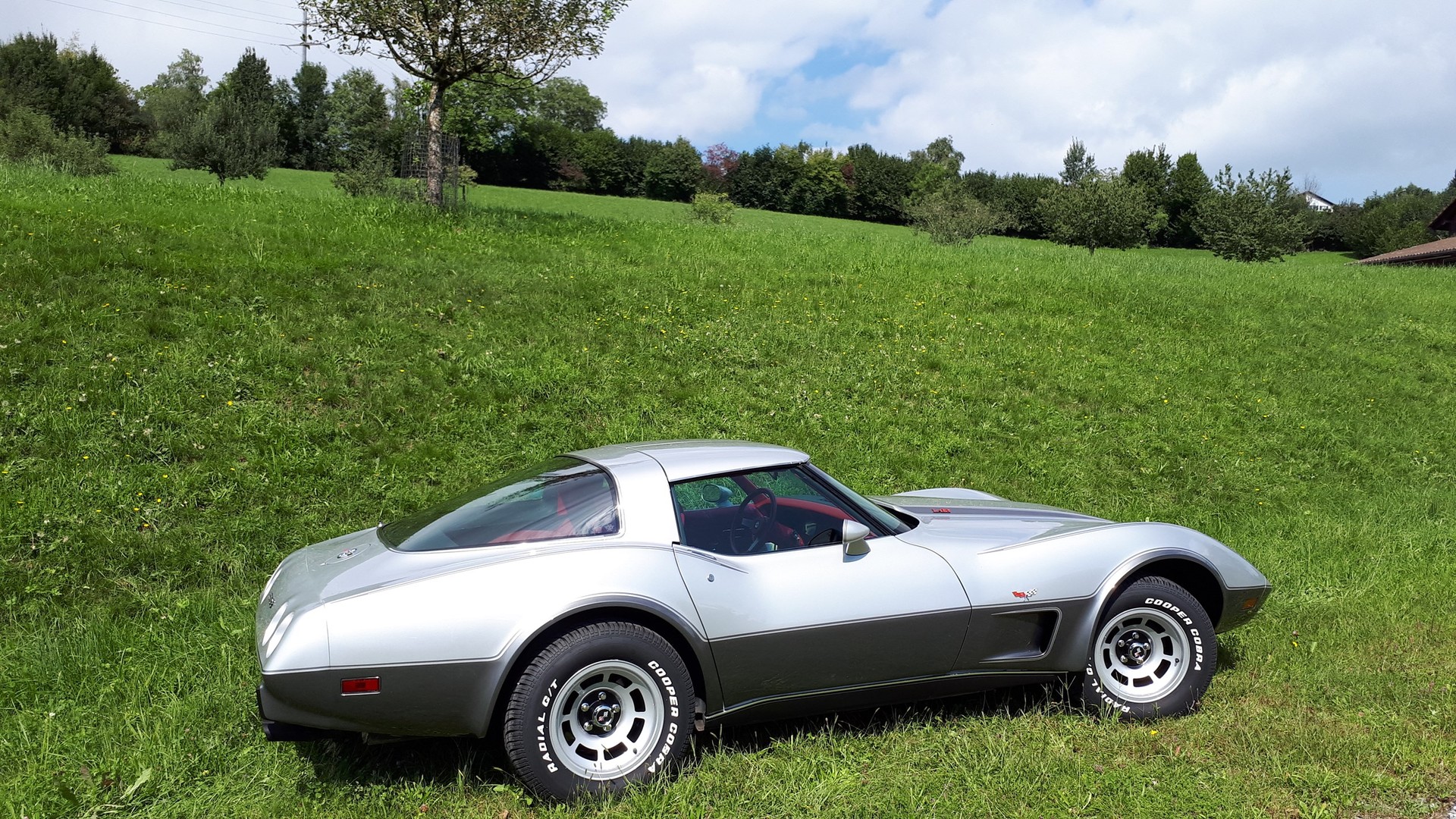 CHEVROLET CORVETTE 25 Anniversary-image-8