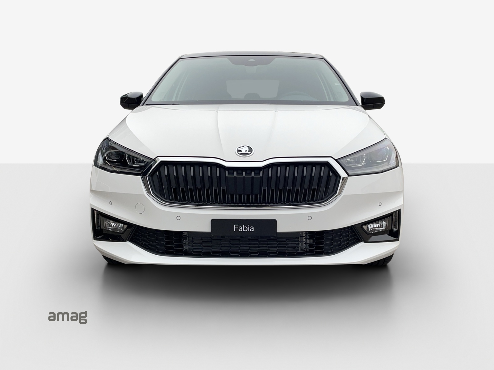 SKODA Fabia 1.0 TSI Selection DSG-image-6