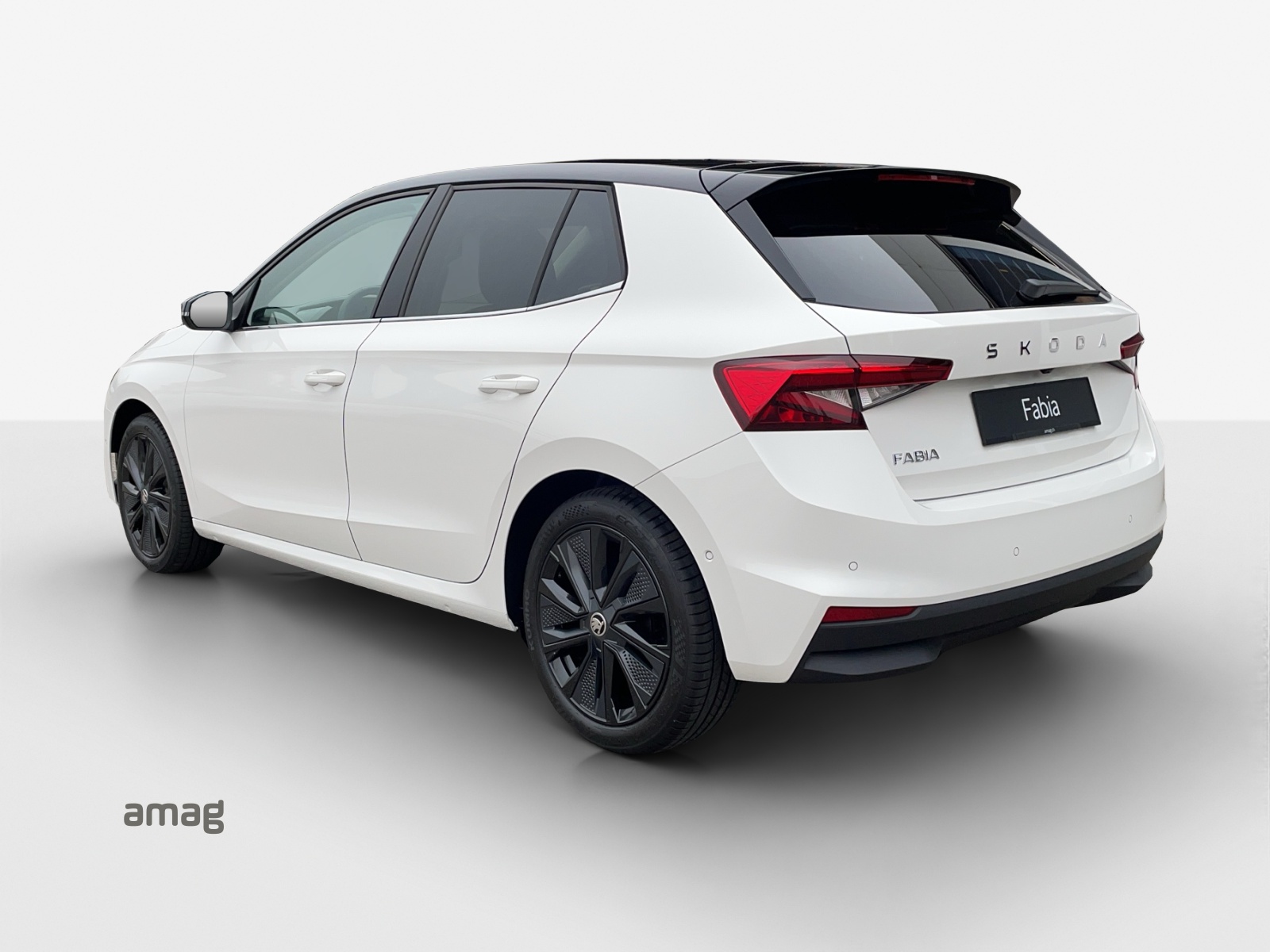 SKODA Fabia 1.0 TSI Selection DSG-image-2