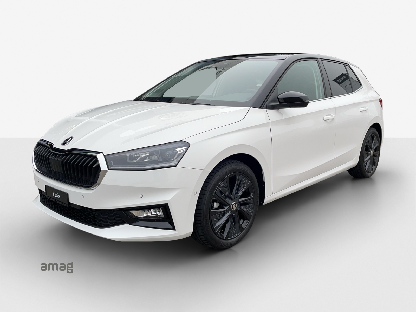 SKODA Fabia 1.0 TSI Selection DSG-image-0