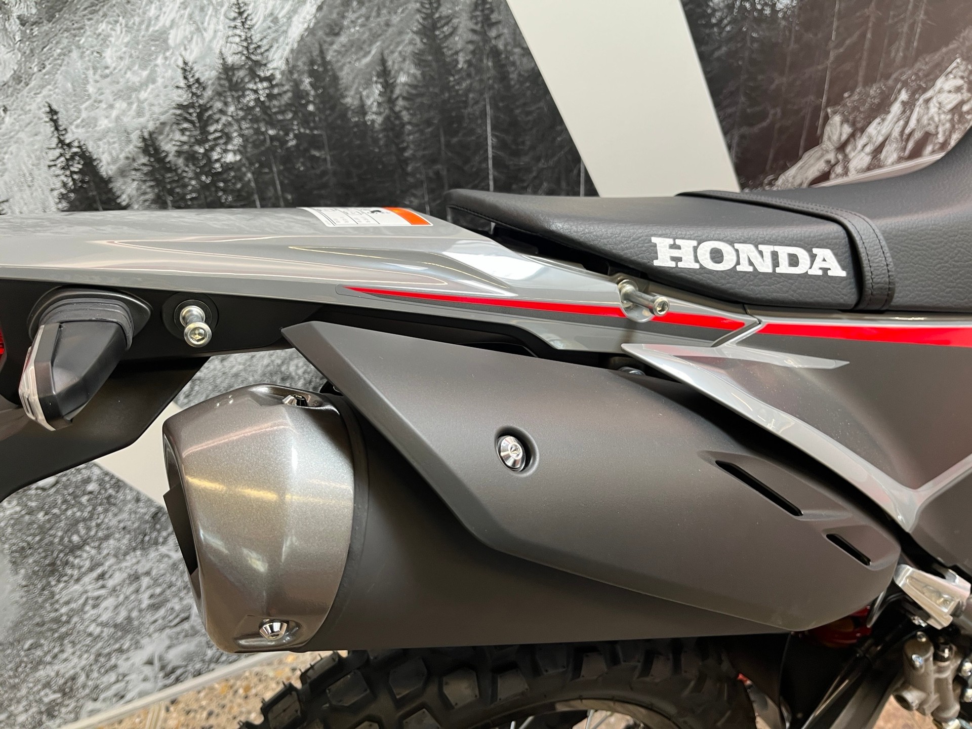 HONDA CRF300LA-image-4