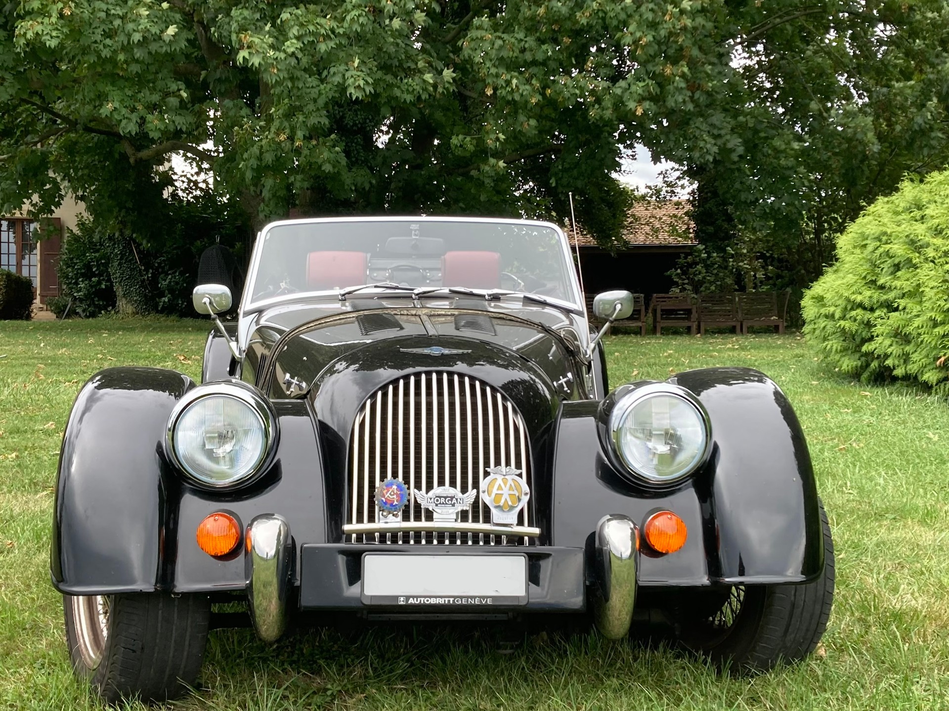 MORGAN 2l-image-1