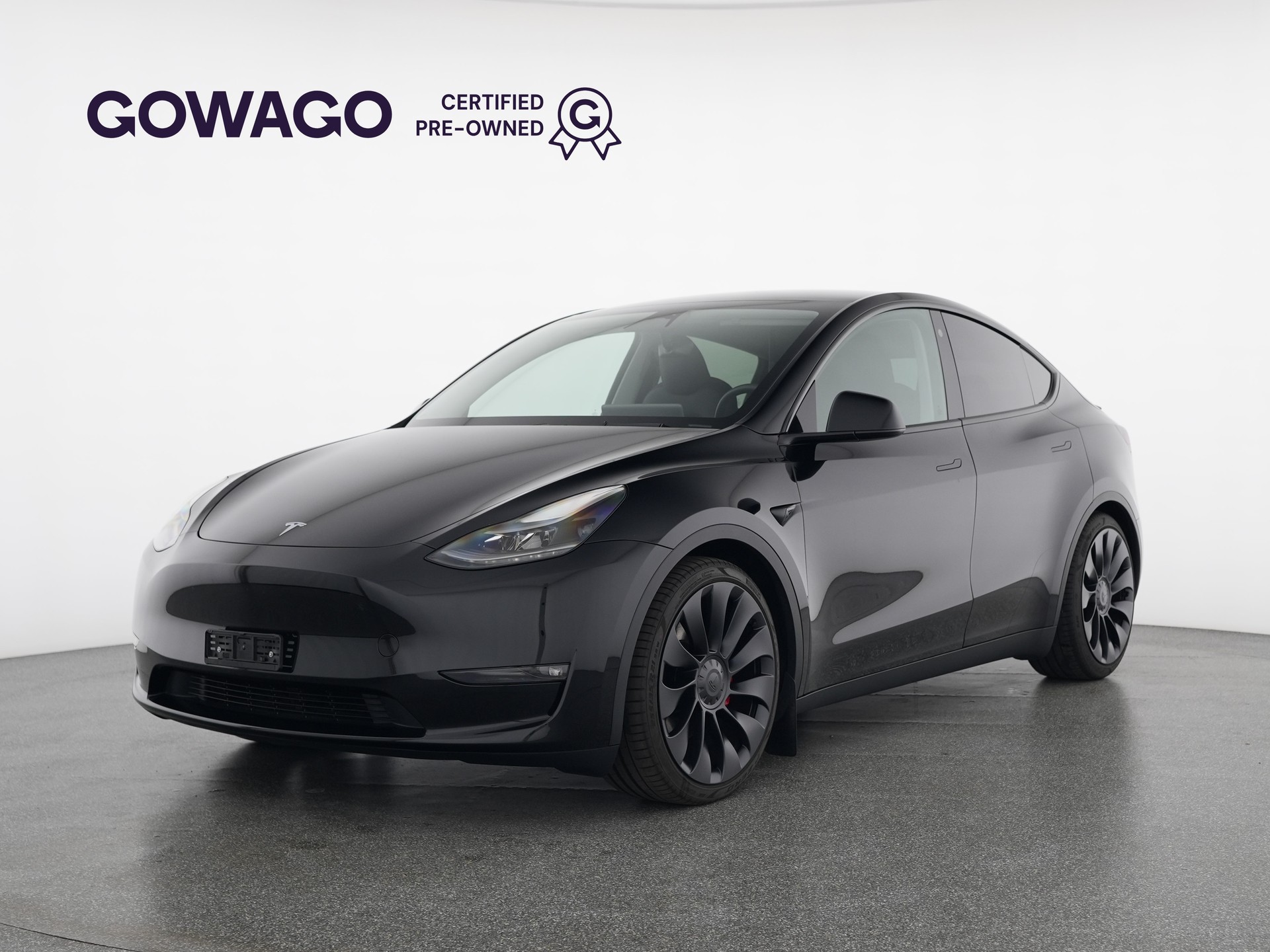 TESLA Model Y Performance-image-0
