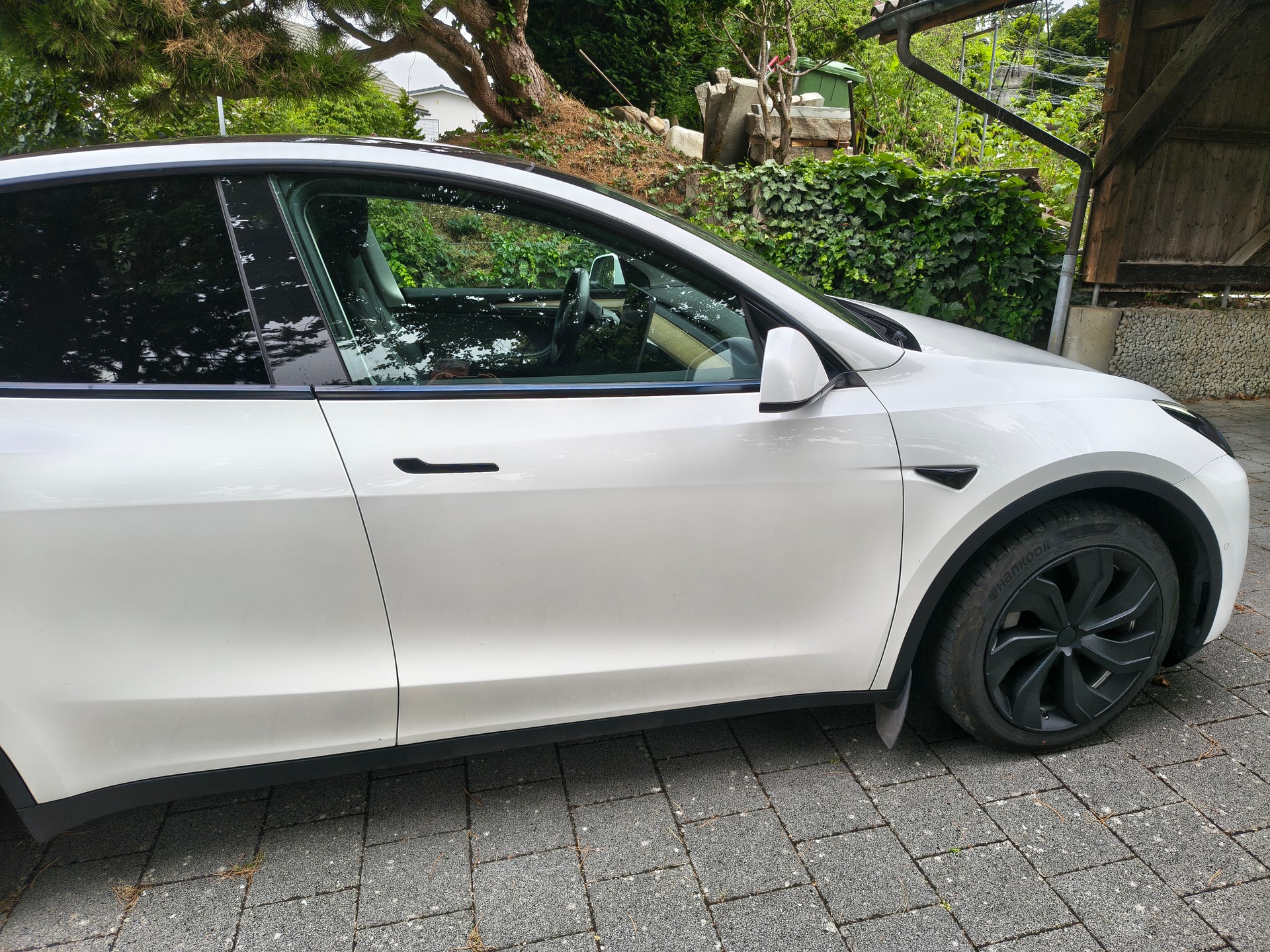 TESLA Long Range D-image-3