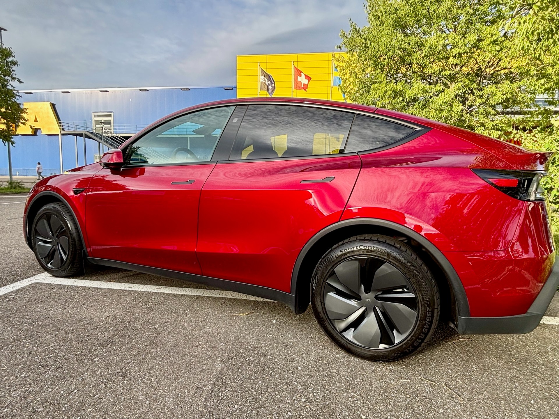 TESLA MODEL Y RWD-image-1