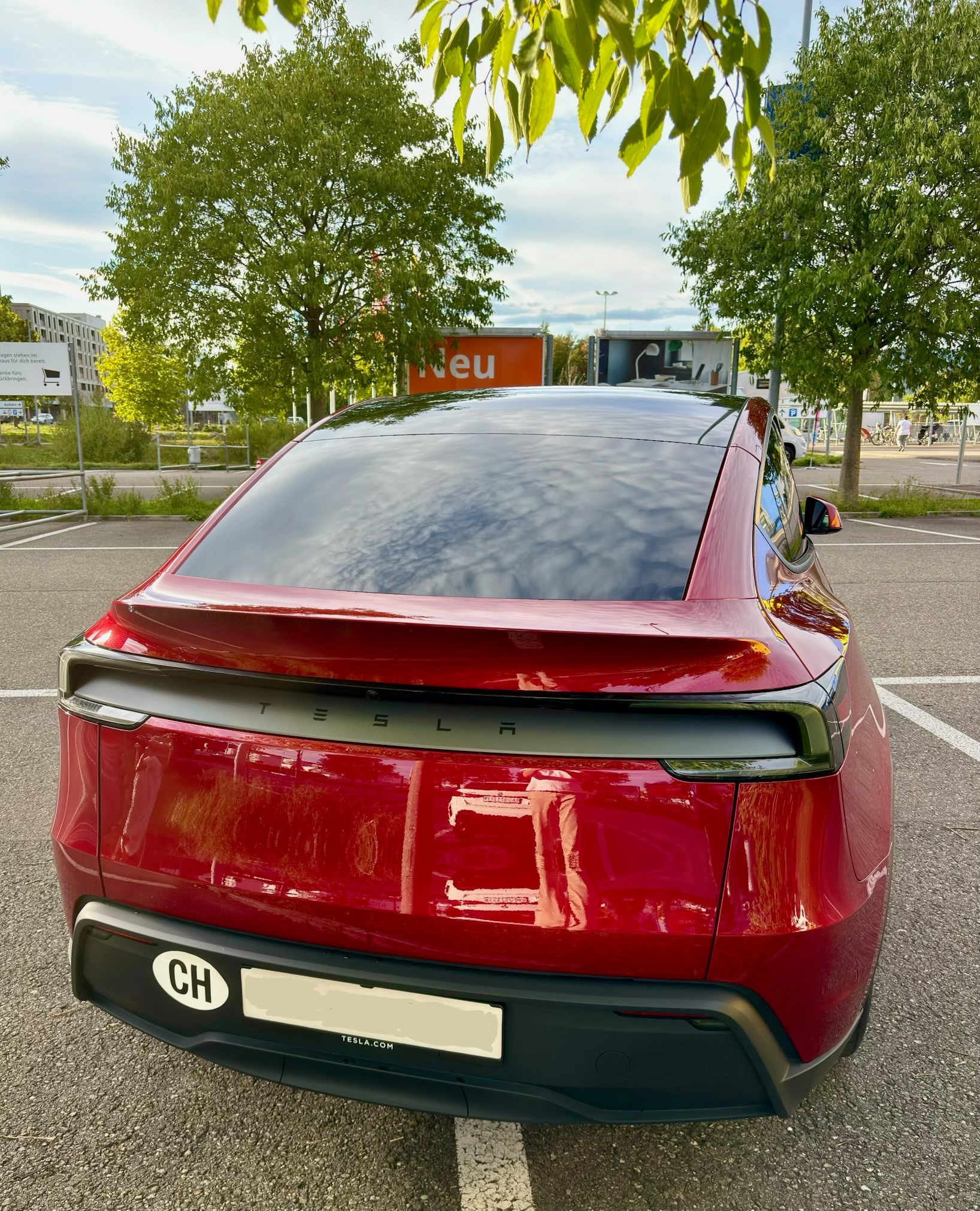 TESLA MODEL Y RWD-image-2
