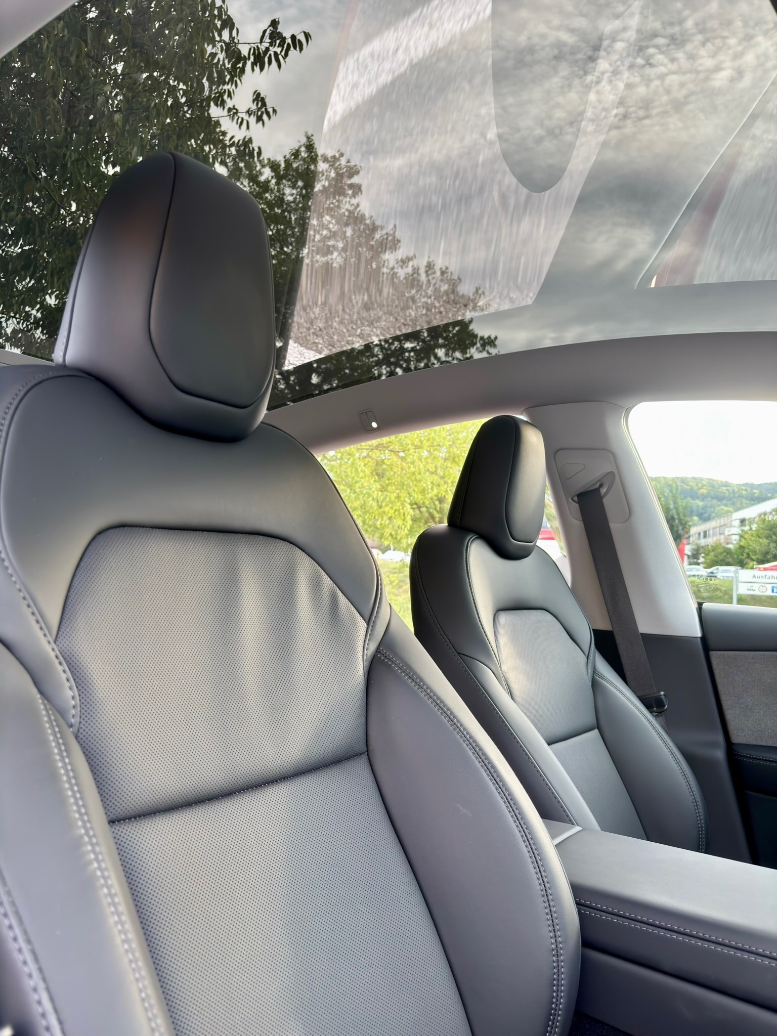 TESLA MODEL Y RWD-image-4