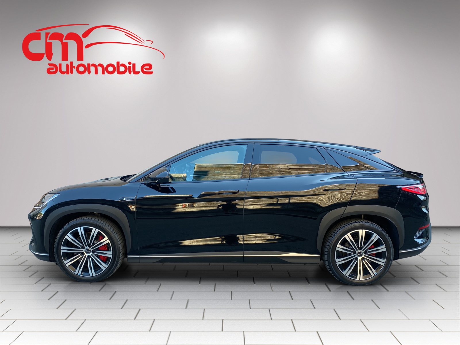 BYD Sealion 7 91,3 kWh Excellence AWD-image-6