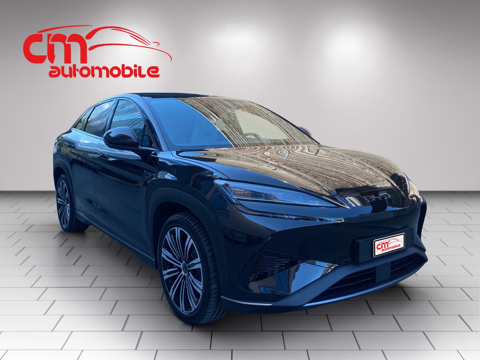 BYD Sealion 7 91,3 kWh Excellence AWD-image-3